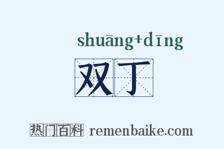 双丁是什么意思的图片